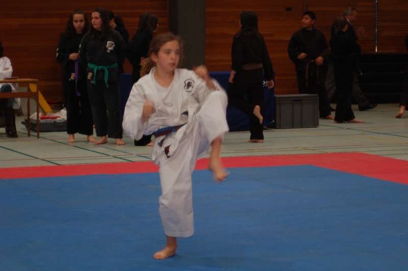 Tres Medallas en el Campeonato de España de Kenpo